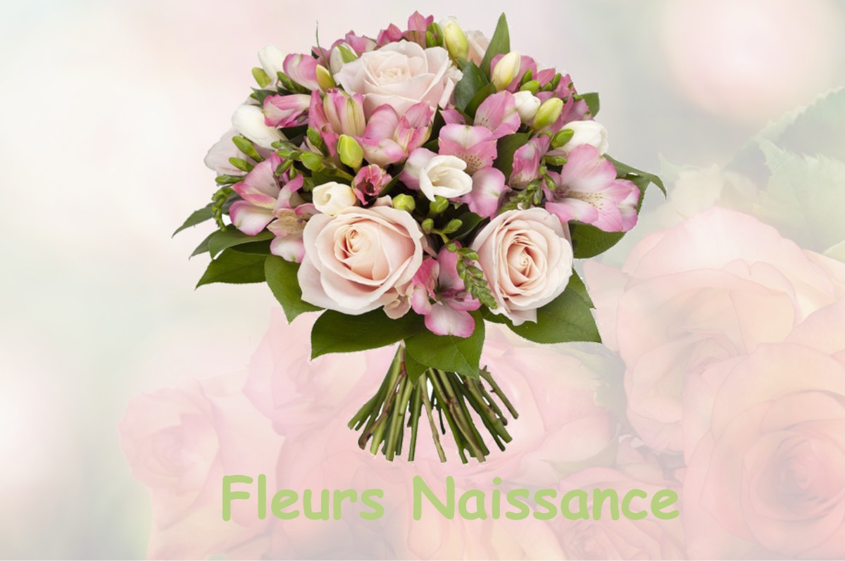 fleurs naissance SAINT-AUBIN-FOSSE-LOUVAIN
